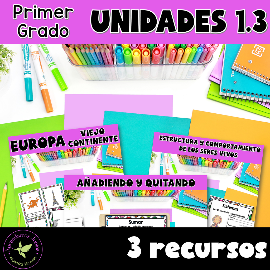 Bundle 1.3