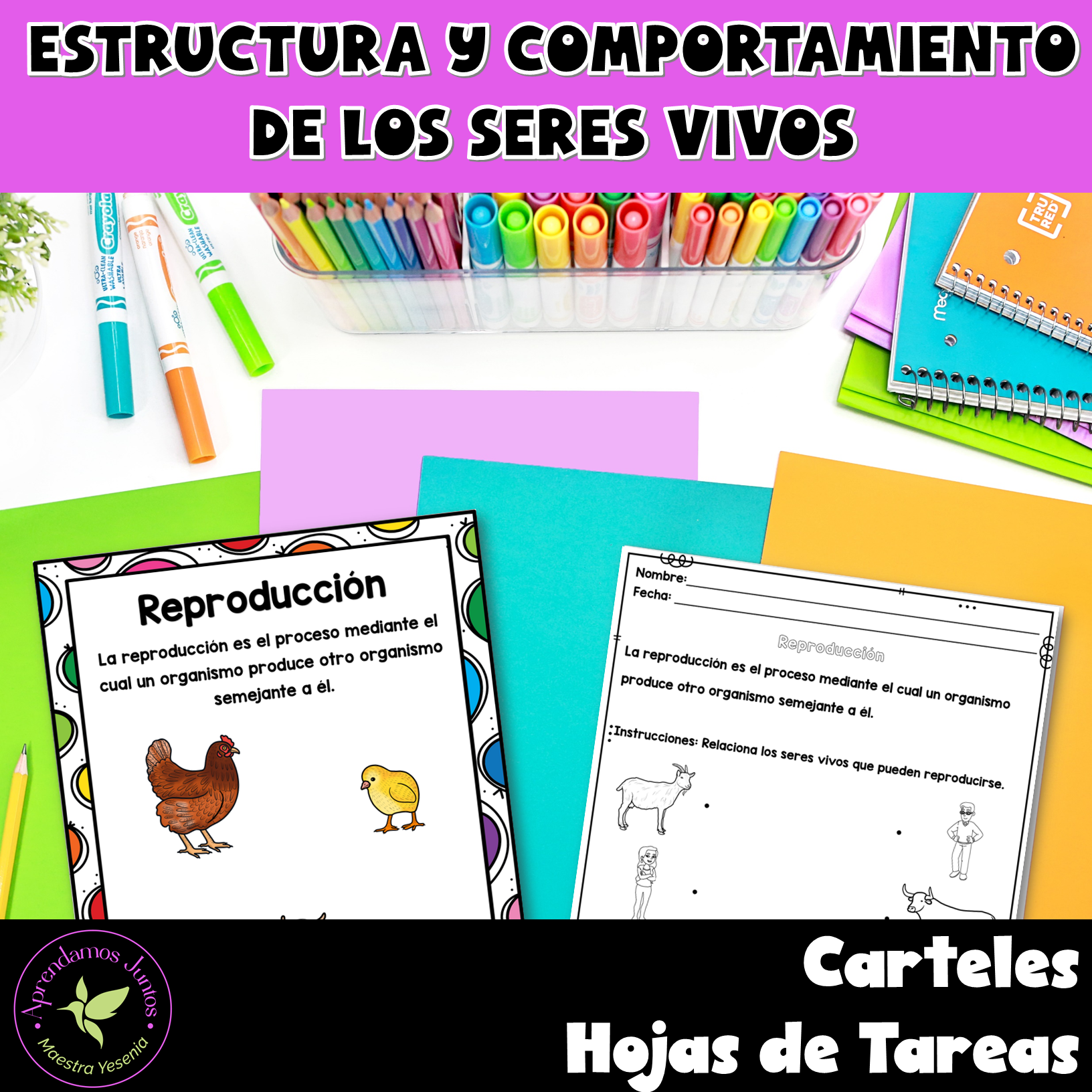 Bundle 1.3