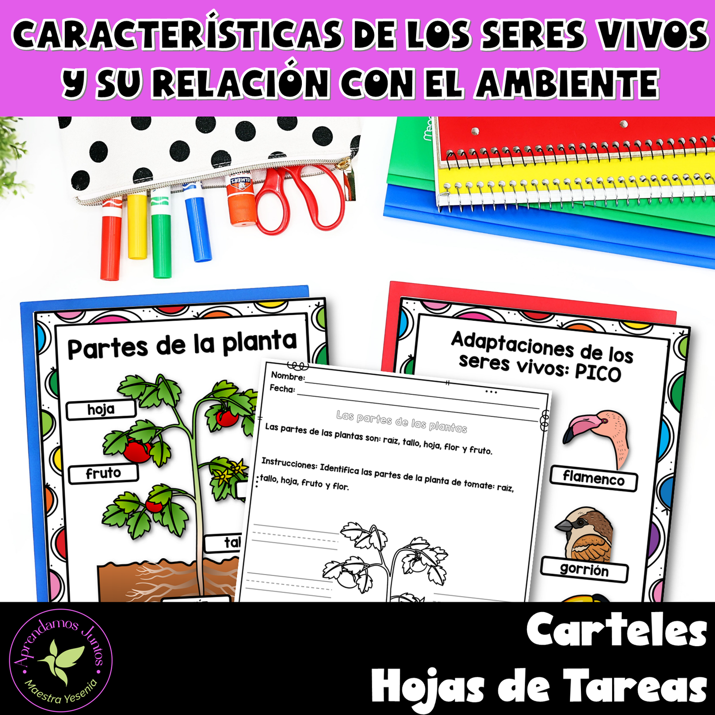 Bundle Unidades 1.2: Asia, el más poblado, Conociendo las Fracciones y Seres vivos