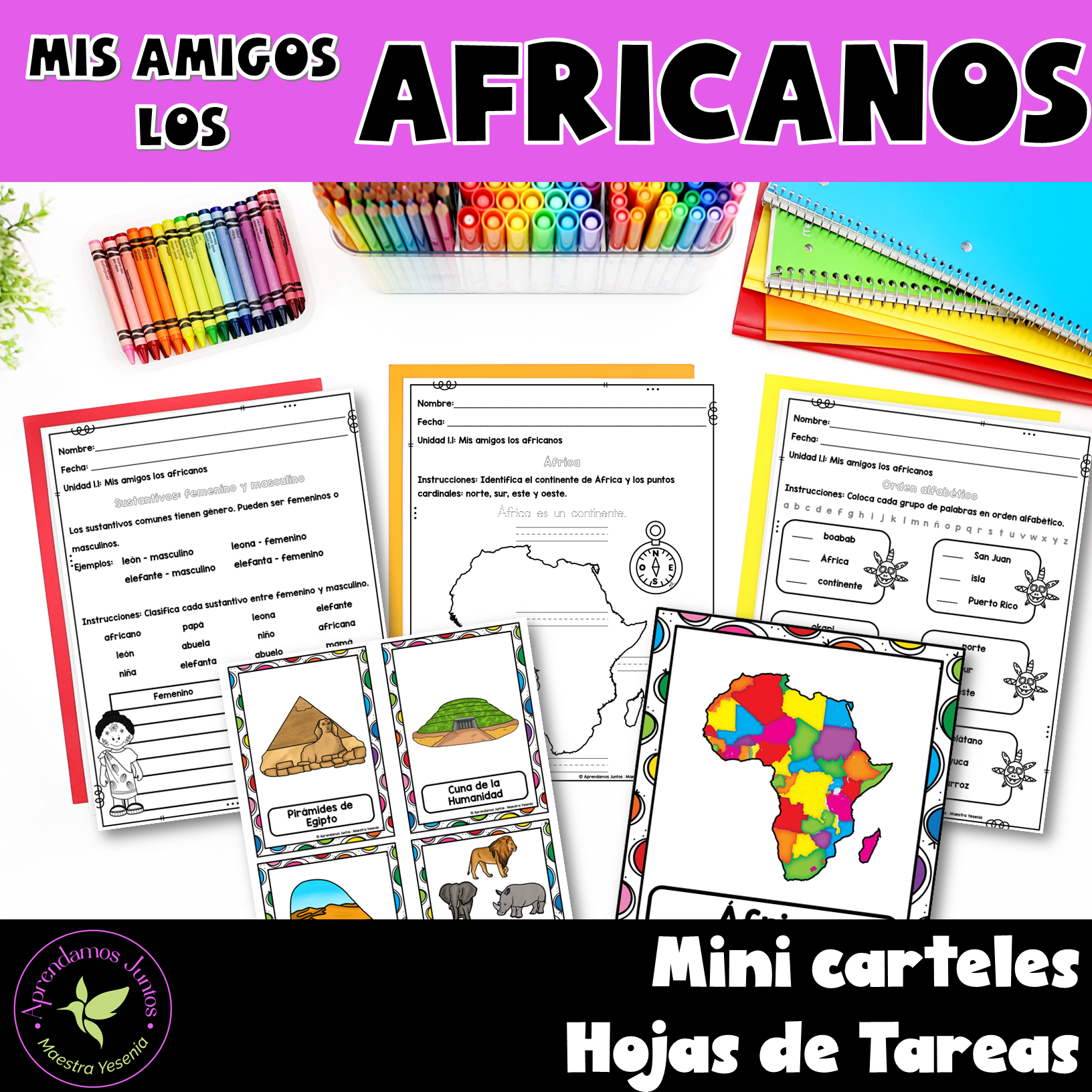 Bundle: Unidades 1.1 Primer Grado