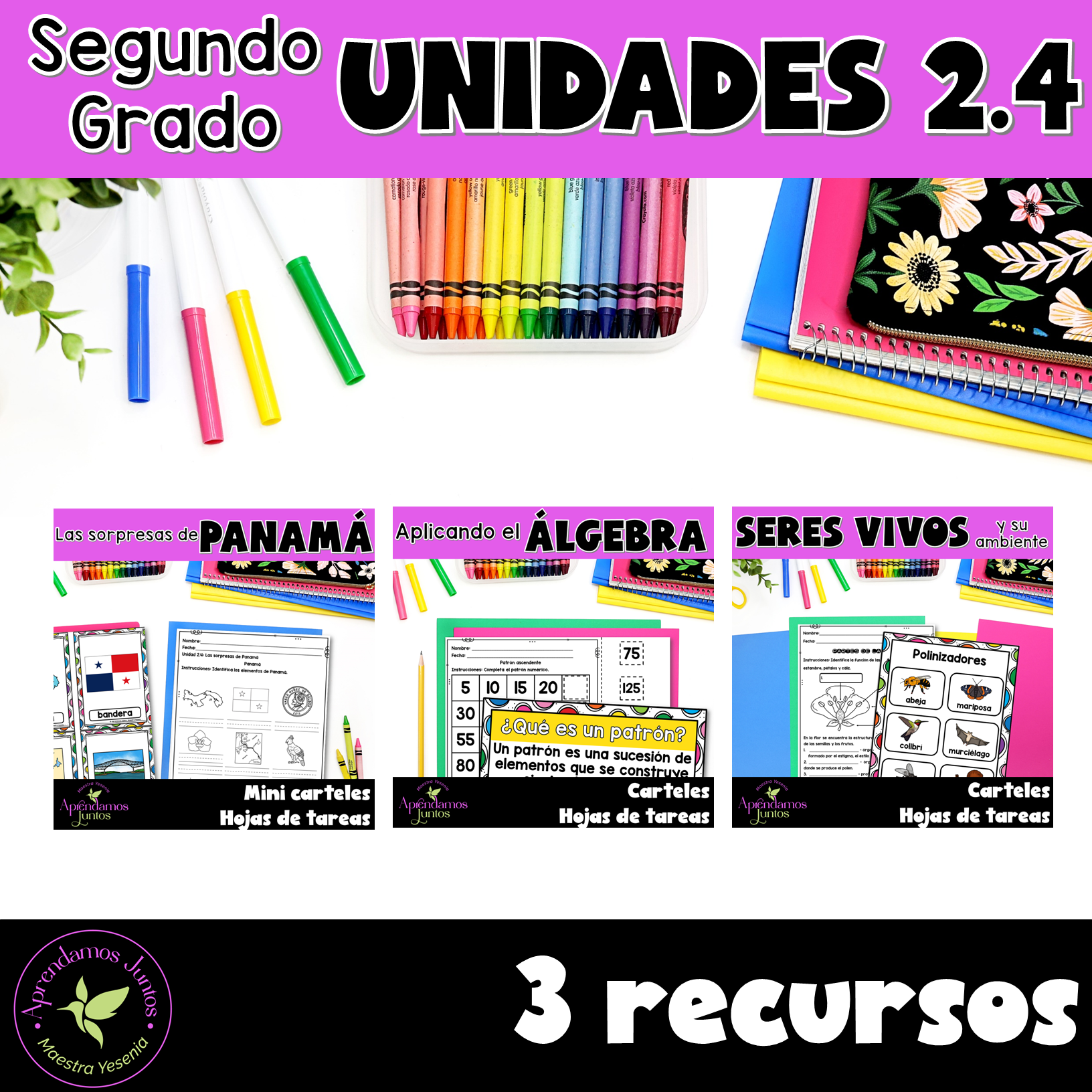 Bundle Unidades 2.4