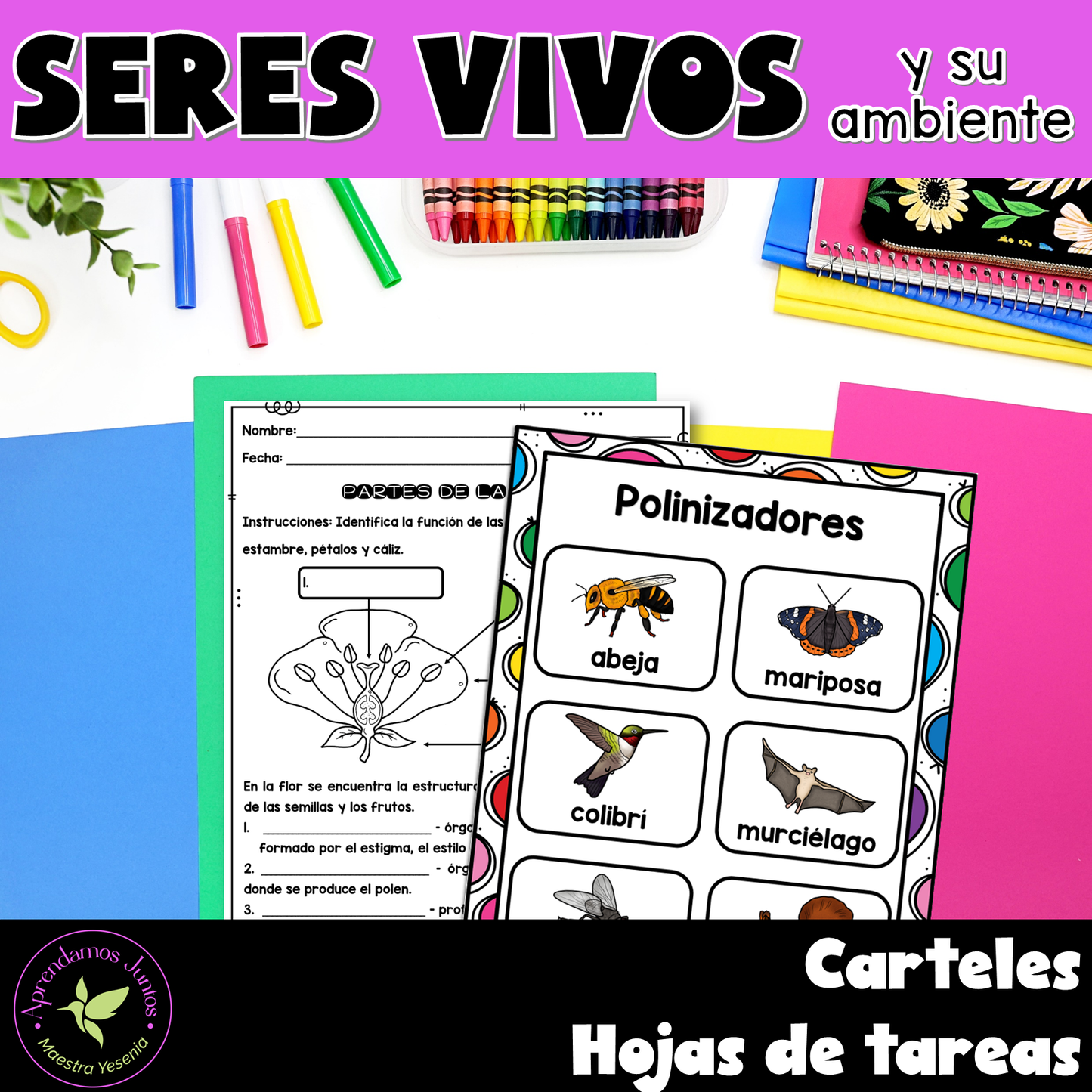 Bundle Unidades 2.4