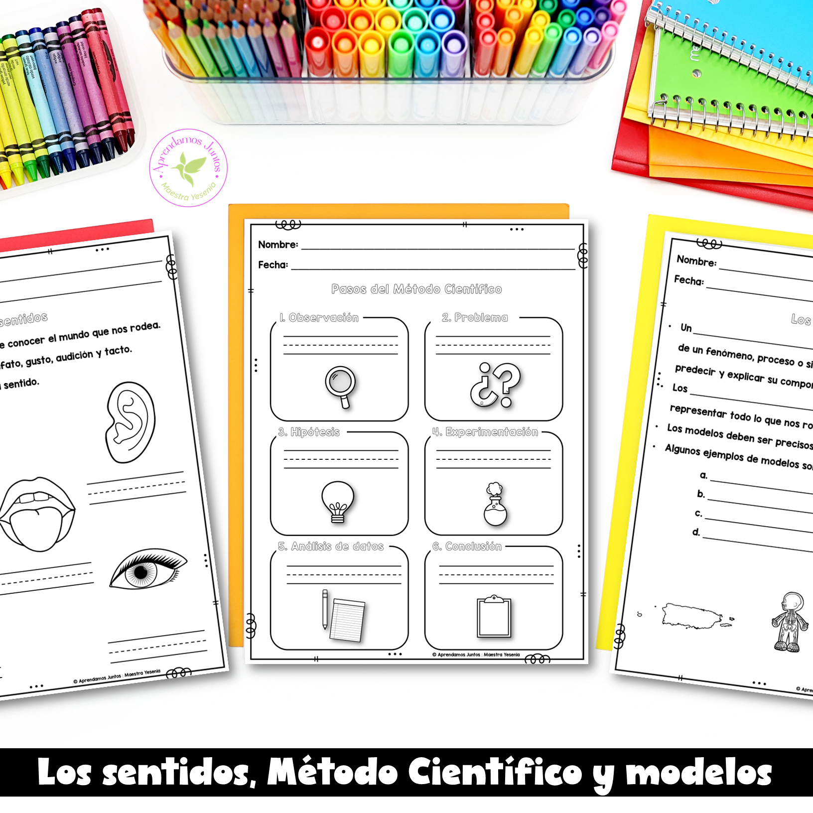 Prácticas de Ciencias e Ingeniería Primer Grado